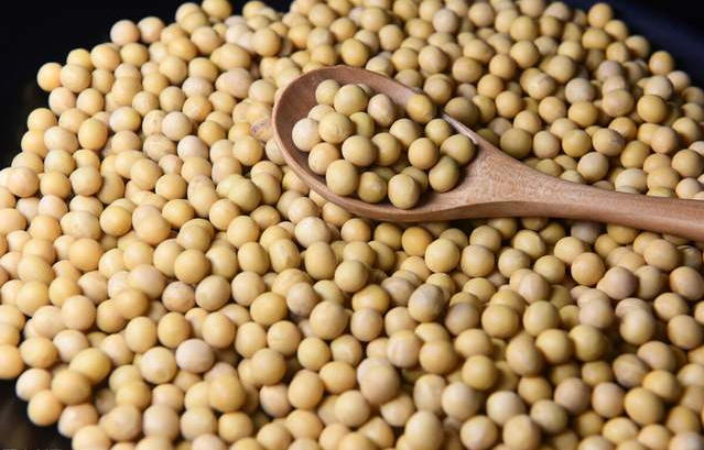 大豆.png 大豆.png