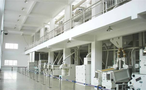 10噸麵粉加工設備